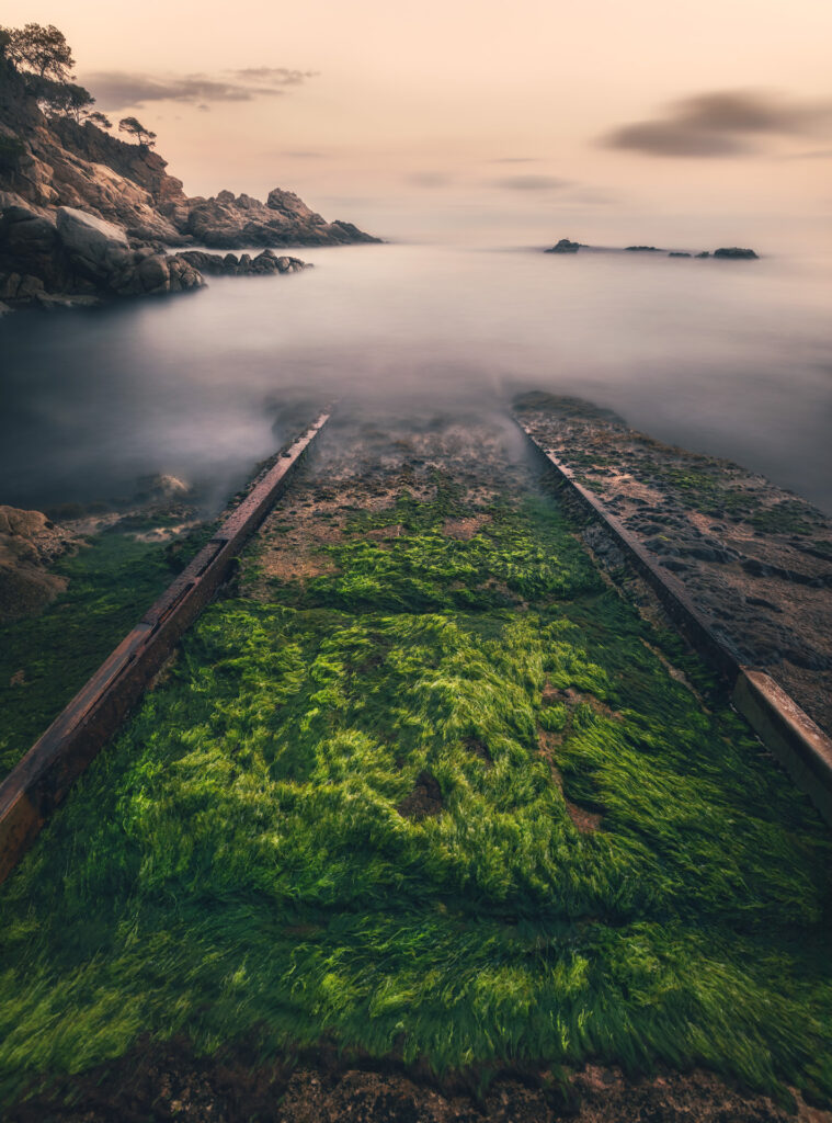 Sea_Rail